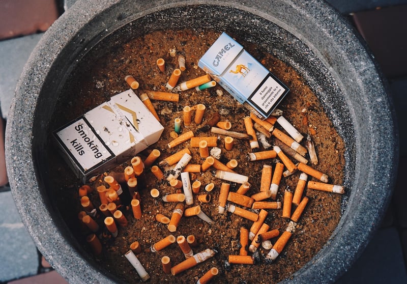 Public Health